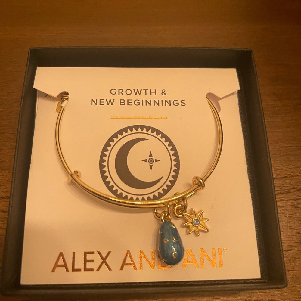 Alex & Ani Bracelet